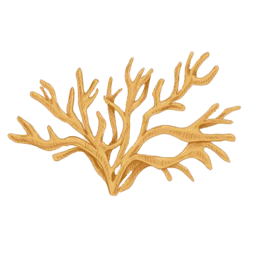 You are currently viewing เคล็ดลับแก้ หน้าโทรม หน้าเหนื่อยเพลีย ด้วย RHODYSSEY จากมอสทะเลสีดำ