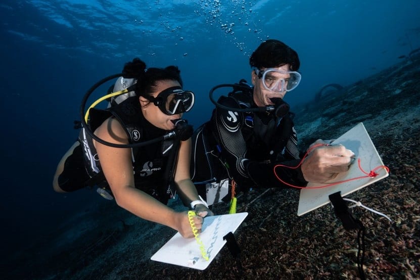 science diving