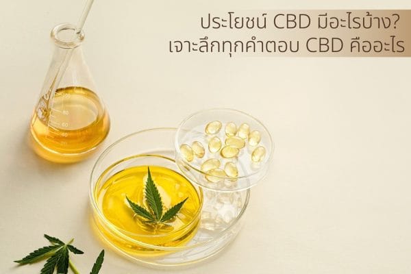 Read more about the article ประโยชน์ CBD มีอะไรบ้าง? เจาะลึกประโยชน์กัญชาสุขภาพและการนวดด้วย CBD